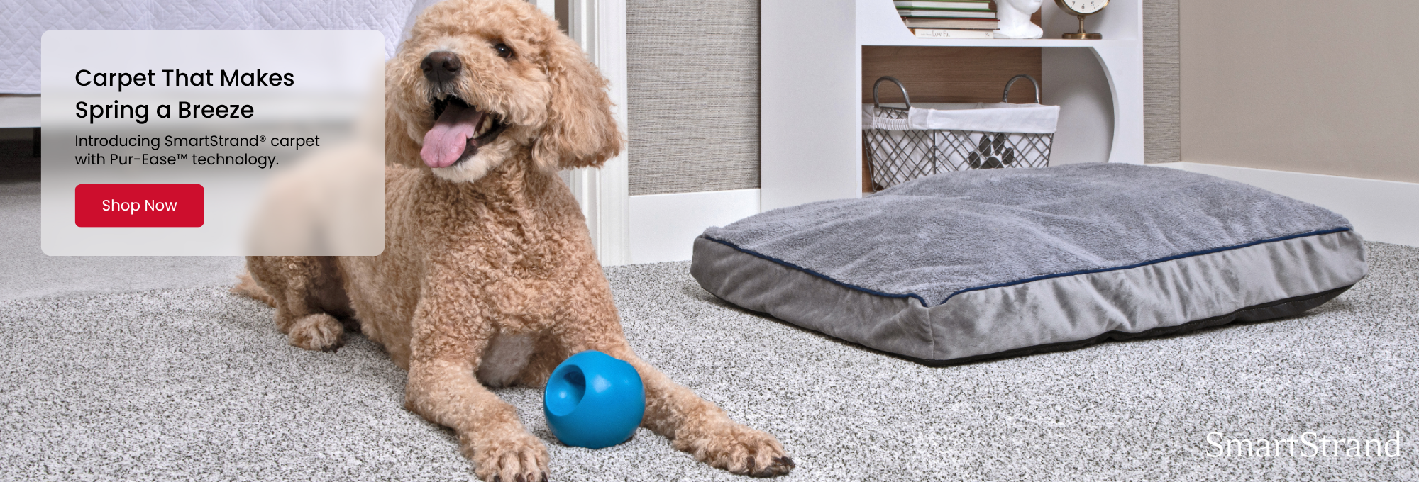 Shop Mohawk SmartStrand Flooring Products